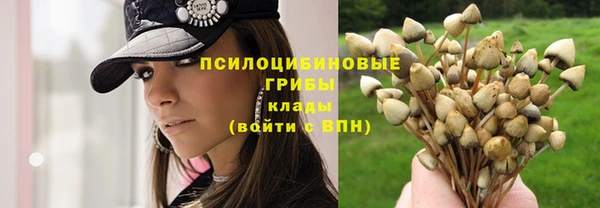 не бодяженный Богородицк