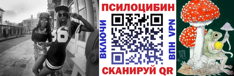 Галлюциногенные грибы Psilocybe  закладки  Кореновск 